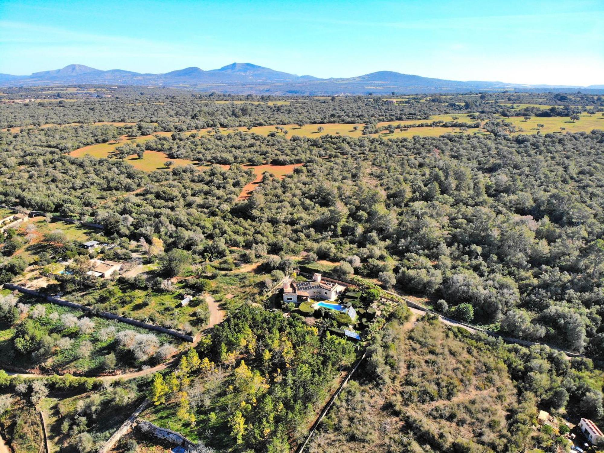 Séjour à la campagne 250 Xisco Domatiga Etv905 By Mallorca Charme Ariany